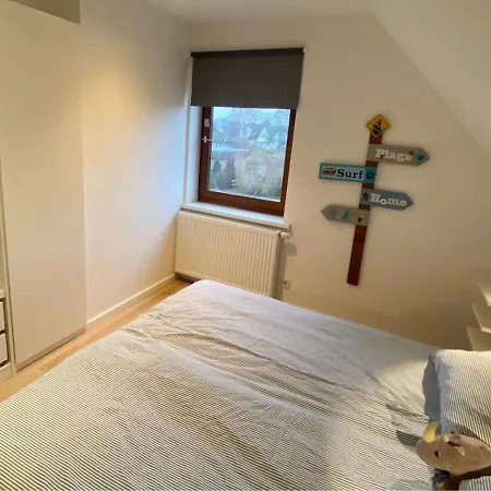 Deichtraum - 1020 * 다메